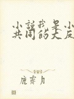 小说我是小说里共同的大反派