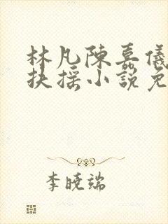 林凡陈嘉仪袖手扶摇小说免费阅读