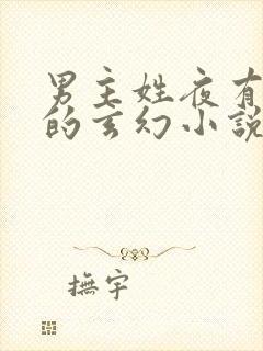 男主姓夜有紫眸的玄幻小说