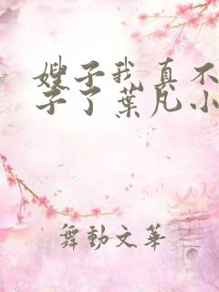 嫂子我真不是傻子了叶凡小说最新章节精校版