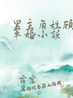 男主角姓顾全部军婚小说