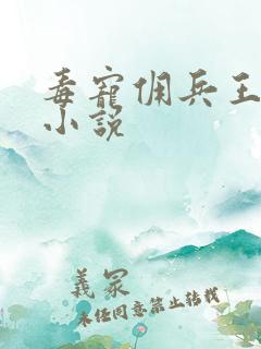 毒宠佣兵王妃 小说