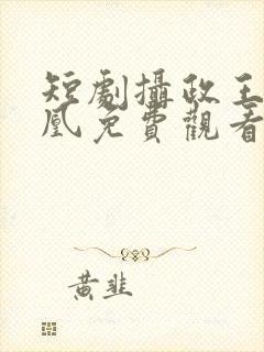 短剧摄政王的囚凰免费观看