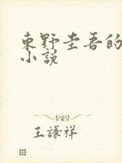 东野圭吾的推理小说