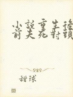 小说重生后嫁给前夫死对头