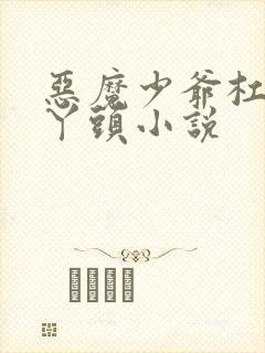 恶魔少爷杠上拽丫头小说