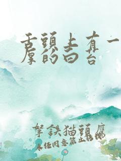 舌头上有一层厚厚的白苔