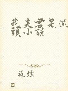 我夫君是灭世魔头小说