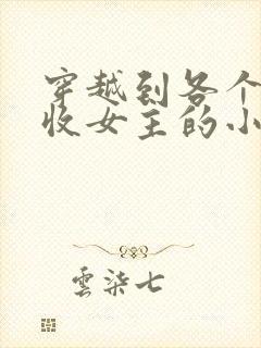 穿越到各个世界收女主的小说