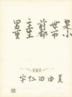 男主前世是杀手重生都市小说