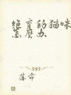 绝育的猫咪乱尿怎么办