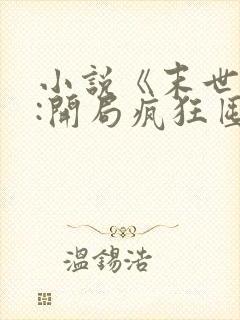 小说《末世重生:开局疯狂囤积物资》