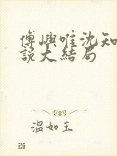 傅屿唯沈知意小说大结局