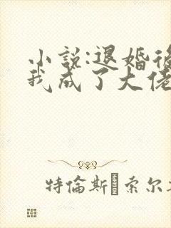 小说:退婚后,我成了大佬的心尖宠