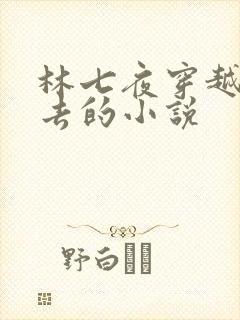 林七夜穿越回过去的小说