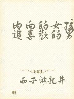 内向的女孩怎么追喜欢的男孩子