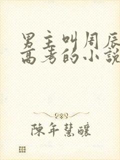 男主叫周辰重生高考的小说