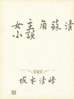 女主角苏清欢的小说