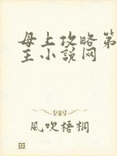 母上攻略第一版主小说网