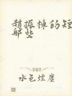 赵振栋的短剧有哪些