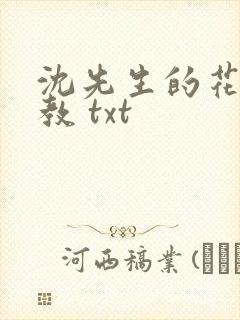 沈先生的花式调教 txt