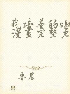 我培养的s级们漫画完整免费观看