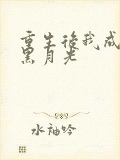 重生后我成奸臣黑月光