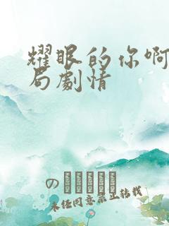 耀眼的你啊大结局剧情