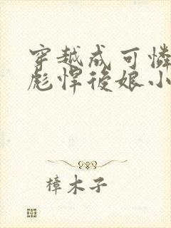 穿越成可怜娃的彪悍后娘小说