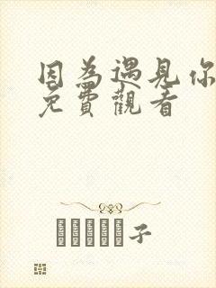 因为遇见你全集免费观看