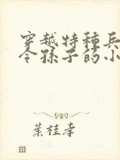 穿越特种兵成司令孙子的小说