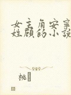 女主角安宁男主姓顾的小说