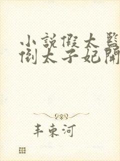 小说假太监从推倒太子妃开始正版全文下载