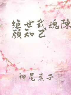 绝世武魂陈枫红颜知己