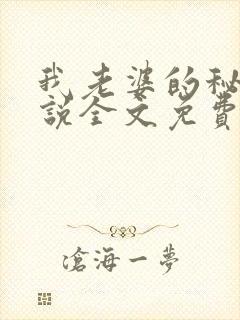 我老婆的秘密小说全文免费阅读