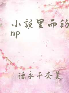 小说里面的高hnp