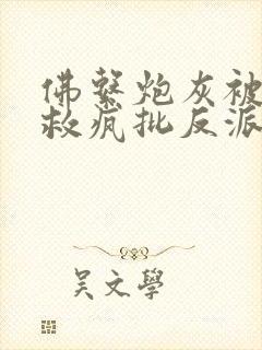 佛系炮灰被迫拯救疯批反派番外