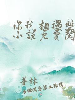 你我相遇双女主小说免费阅读