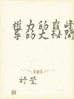 权力的巅峰从领导的大秘开始