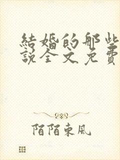 结婚的那些事小说全文免费阅读