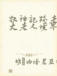 牧神记残老村九大老人境界