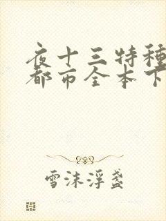 夜十三特种兵在都市全本下载