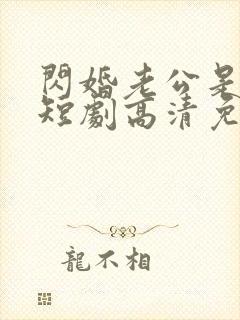 闪婚老公是豪门短剧高清免费播放