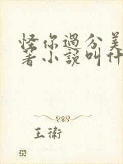 怪你过分美丽原著小说叫什么