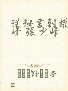 从秘书到权力巅峰 张少峰