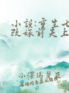 小说:重生七零改嫁前夫上司