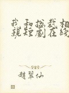 我和总裁相了个亲短剧在线观看全集