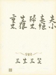 重生归来夫人她又狠又绝小说