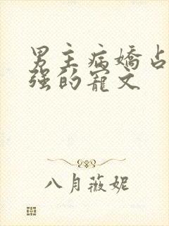 男主病娇占有欲强的宠文