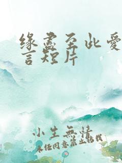 缘尽至此爱不再言短片